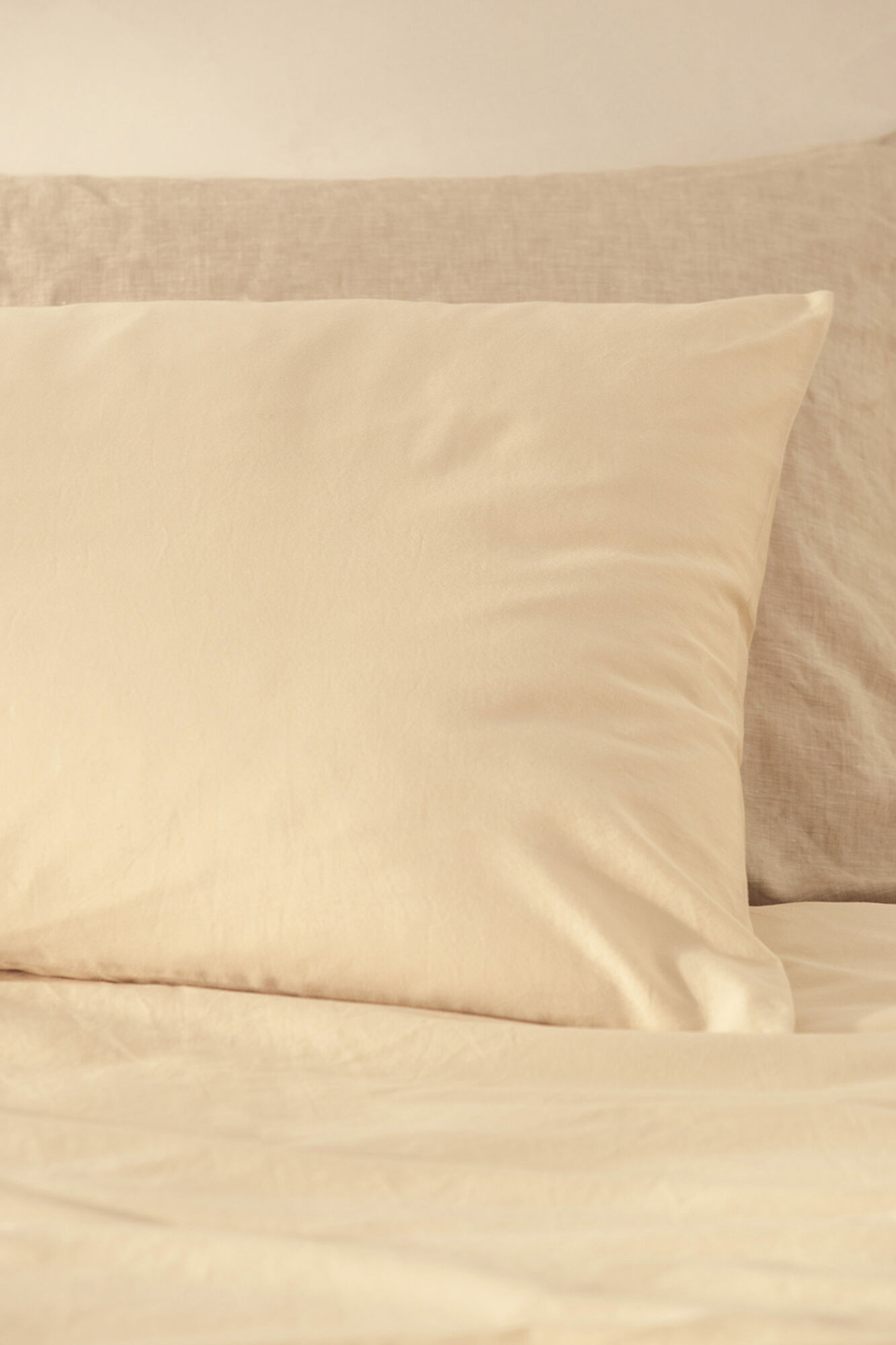 Bassols Fronha Sahara