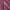 Roxo