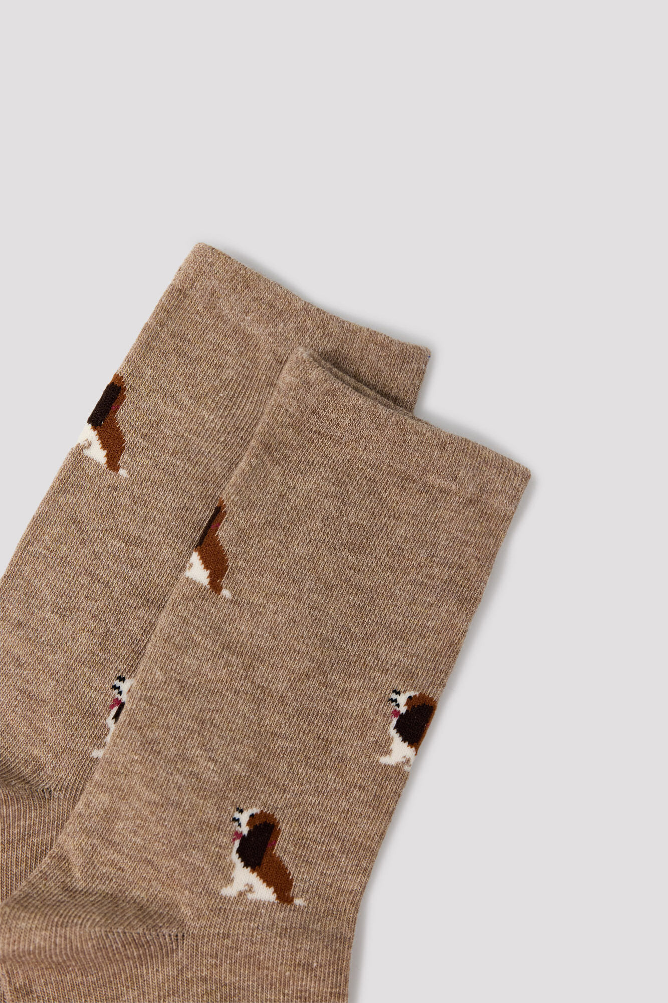 Cortefiel Dog long socks