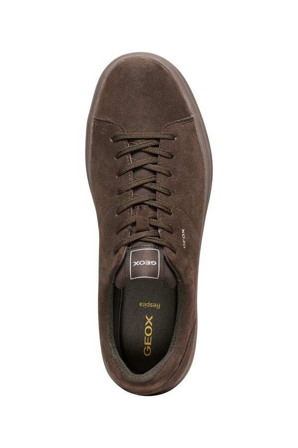 Geox Sapatilhas U Baltmoore Castanho