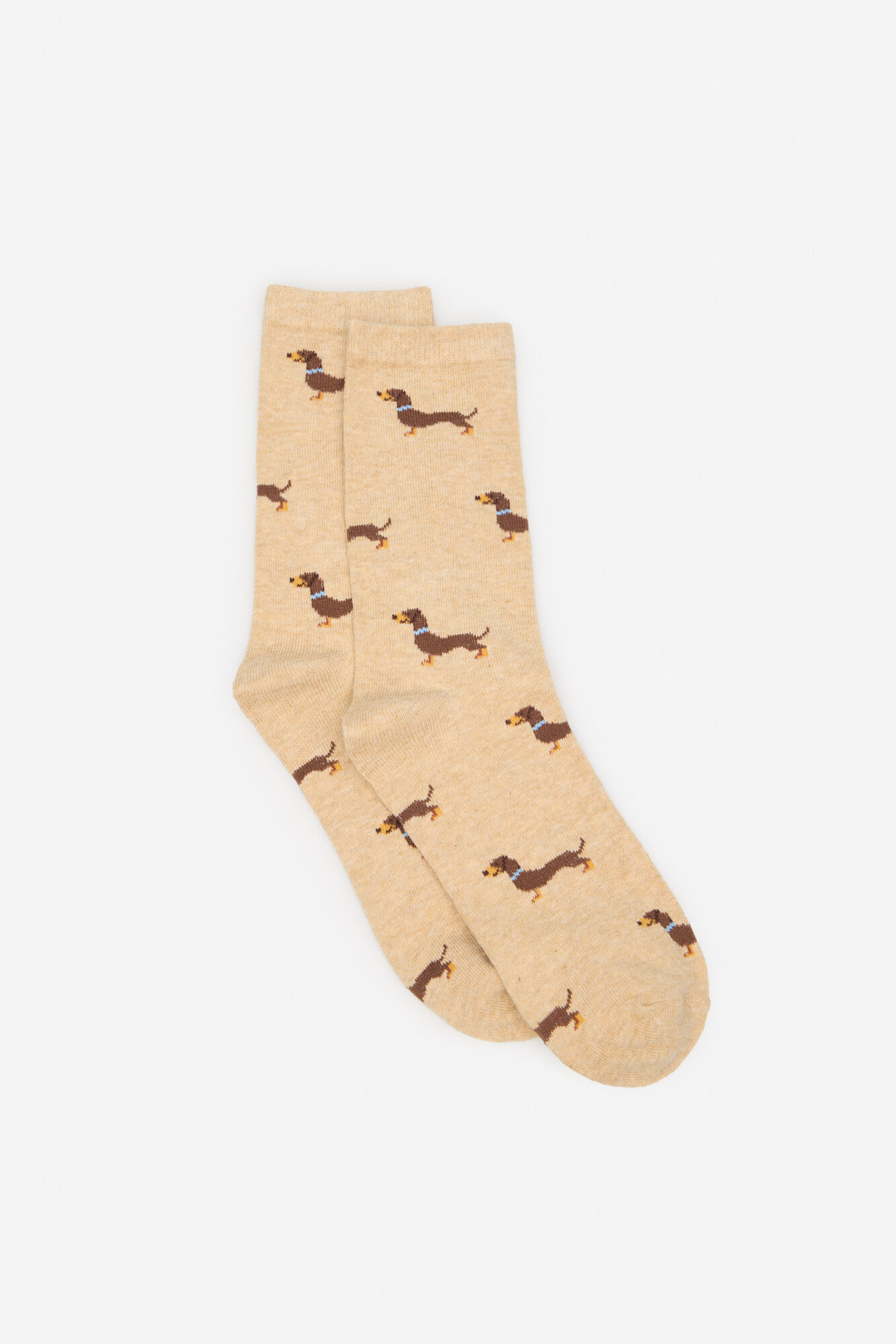 Cortefiel Dachshund long sock