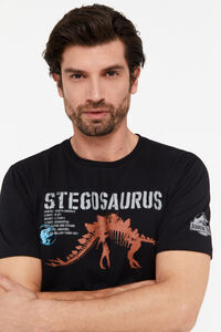 Cortefiel Jurassic Park graphic T-shirt Black