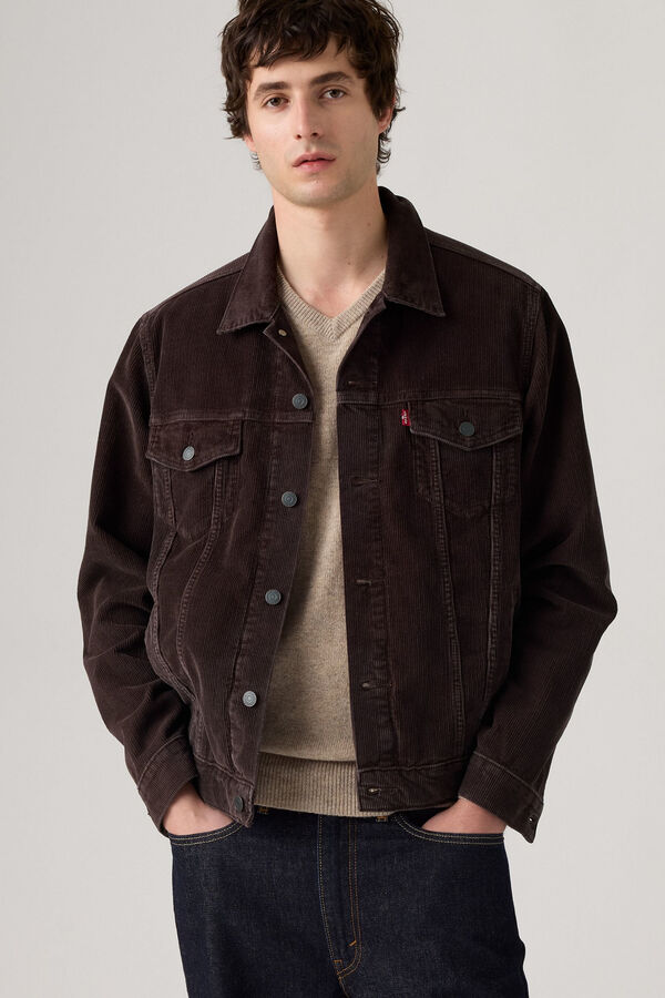 Levi's Blusão de veludo cotelê Levis®  Castanho