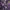 Roxo