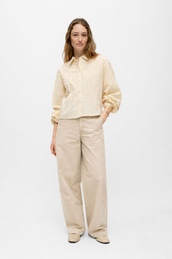 Camisa rayas bordados