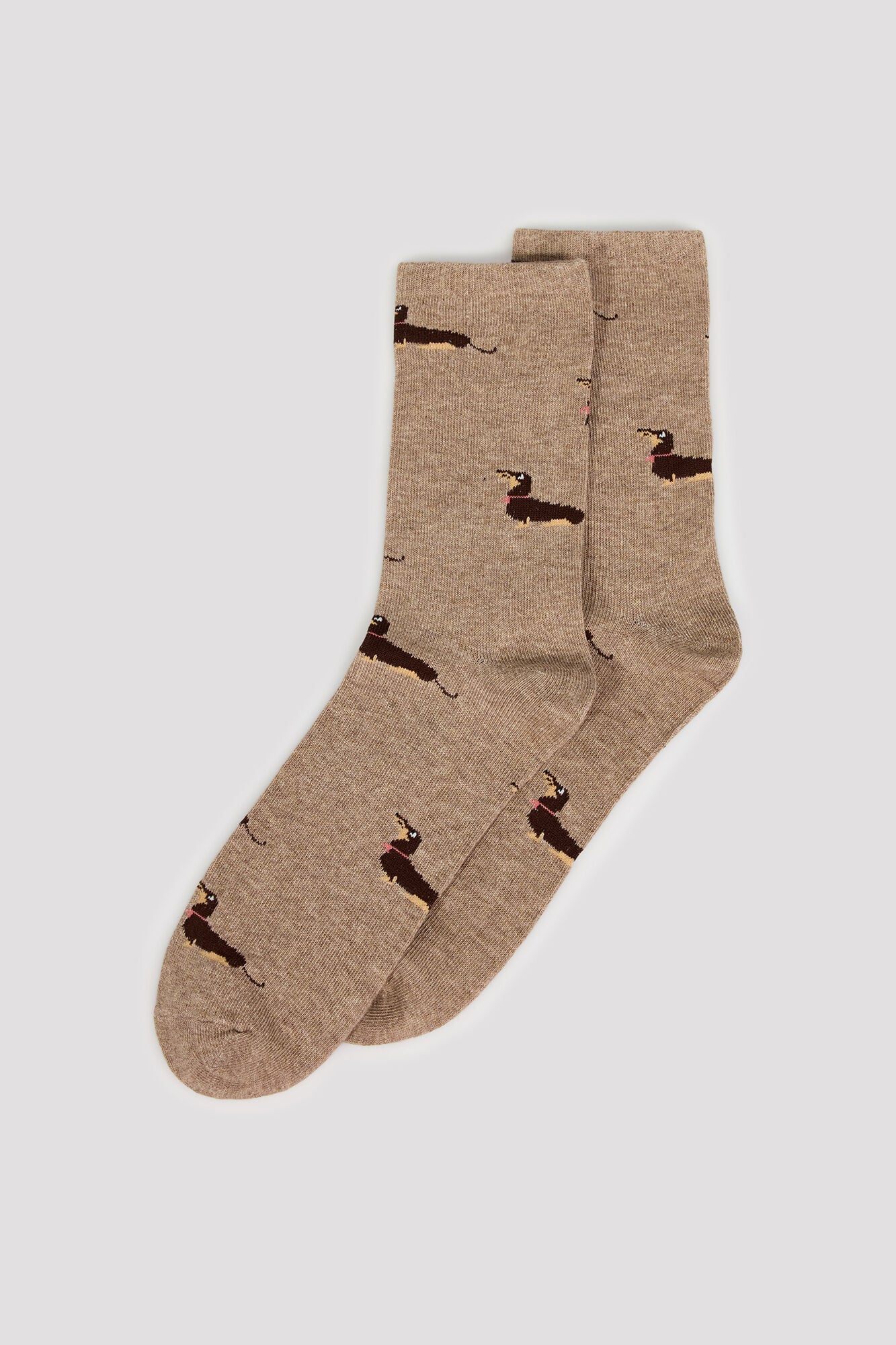 Cortefiel Dachshund long socks