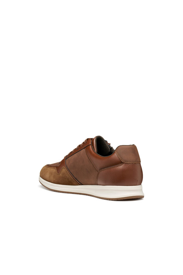 Geox Avery Desportiva Castanho