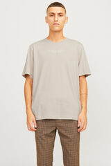 Cortefiel T-shirt regular fit Cinzento