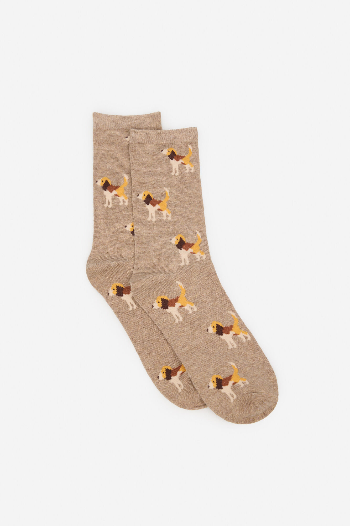 Cortefiel Beagle long sock