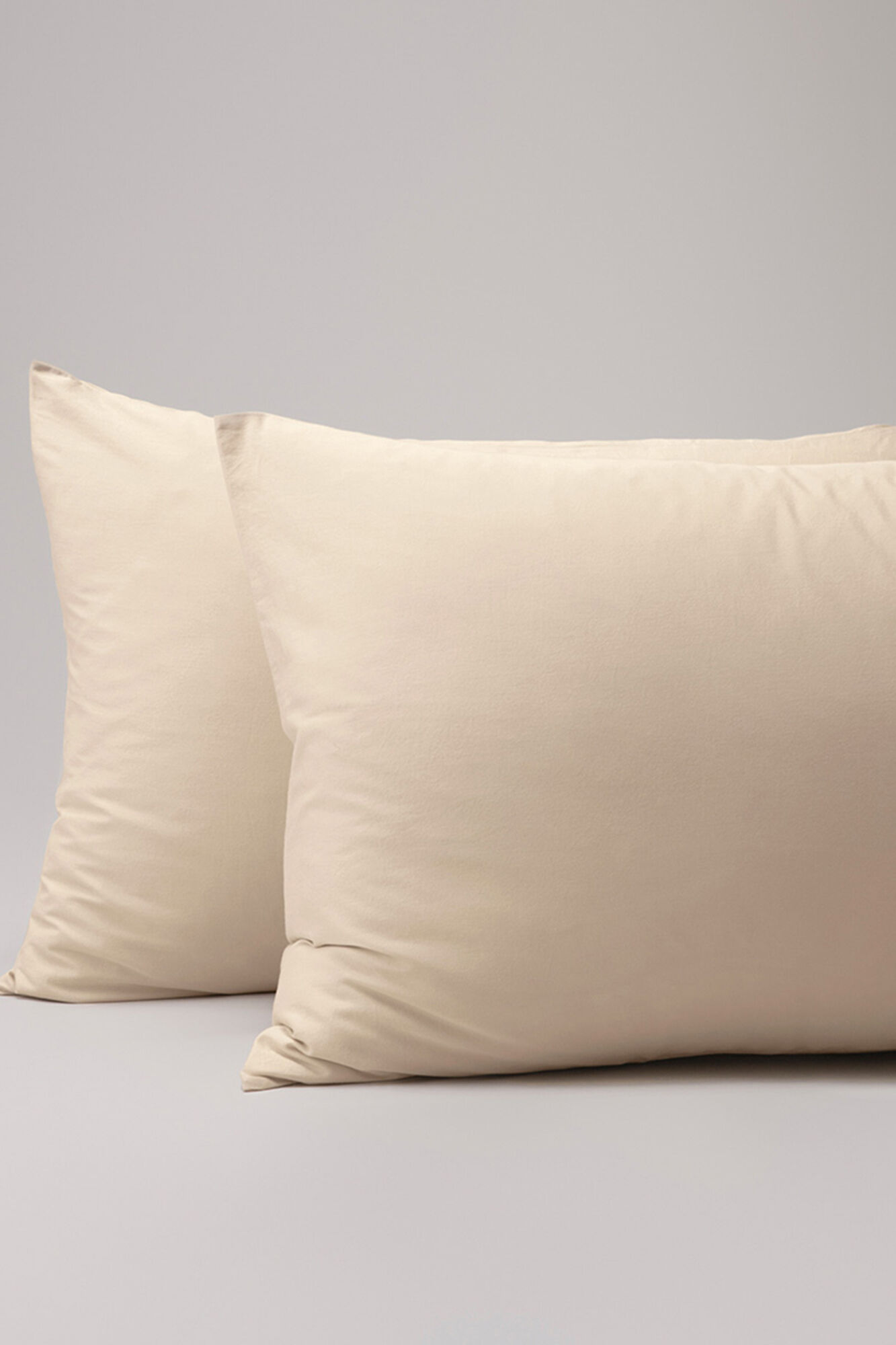 Bassols Fronha Sahara