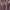 Roxo