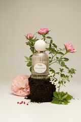 Hoss Intropia Hoss Intropia Chuva e Flores Eau De Parfum Subiu