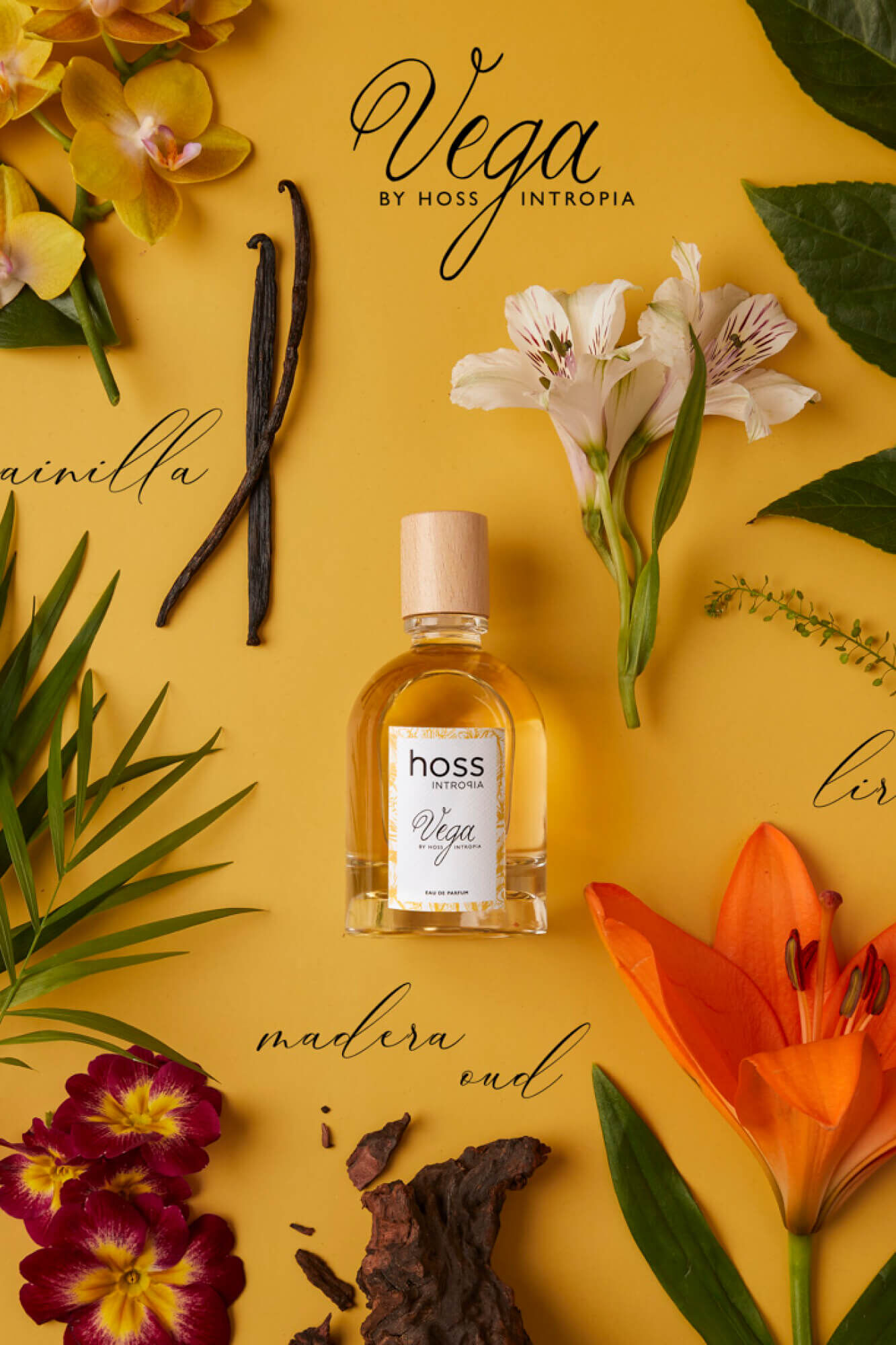 Hoss Intropia Vega. Perfume Hoss Intropia