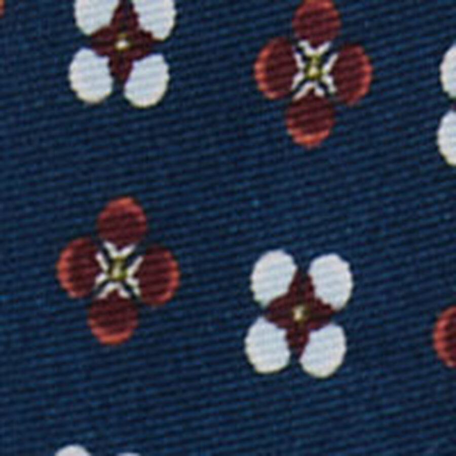 Imagen de muestra de color para productos