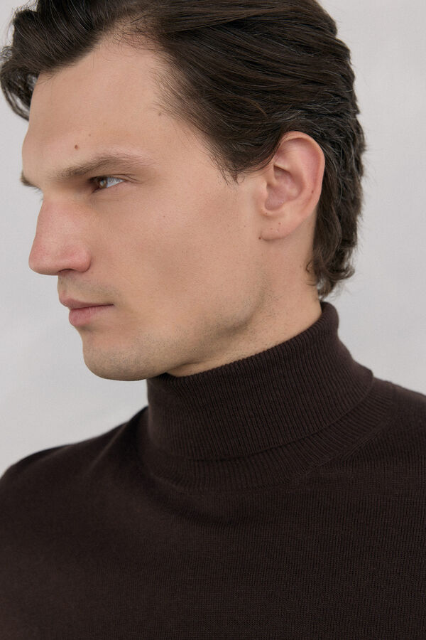 Pedro del Hierro Polo neck jumper Brown
