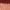 Multicolour