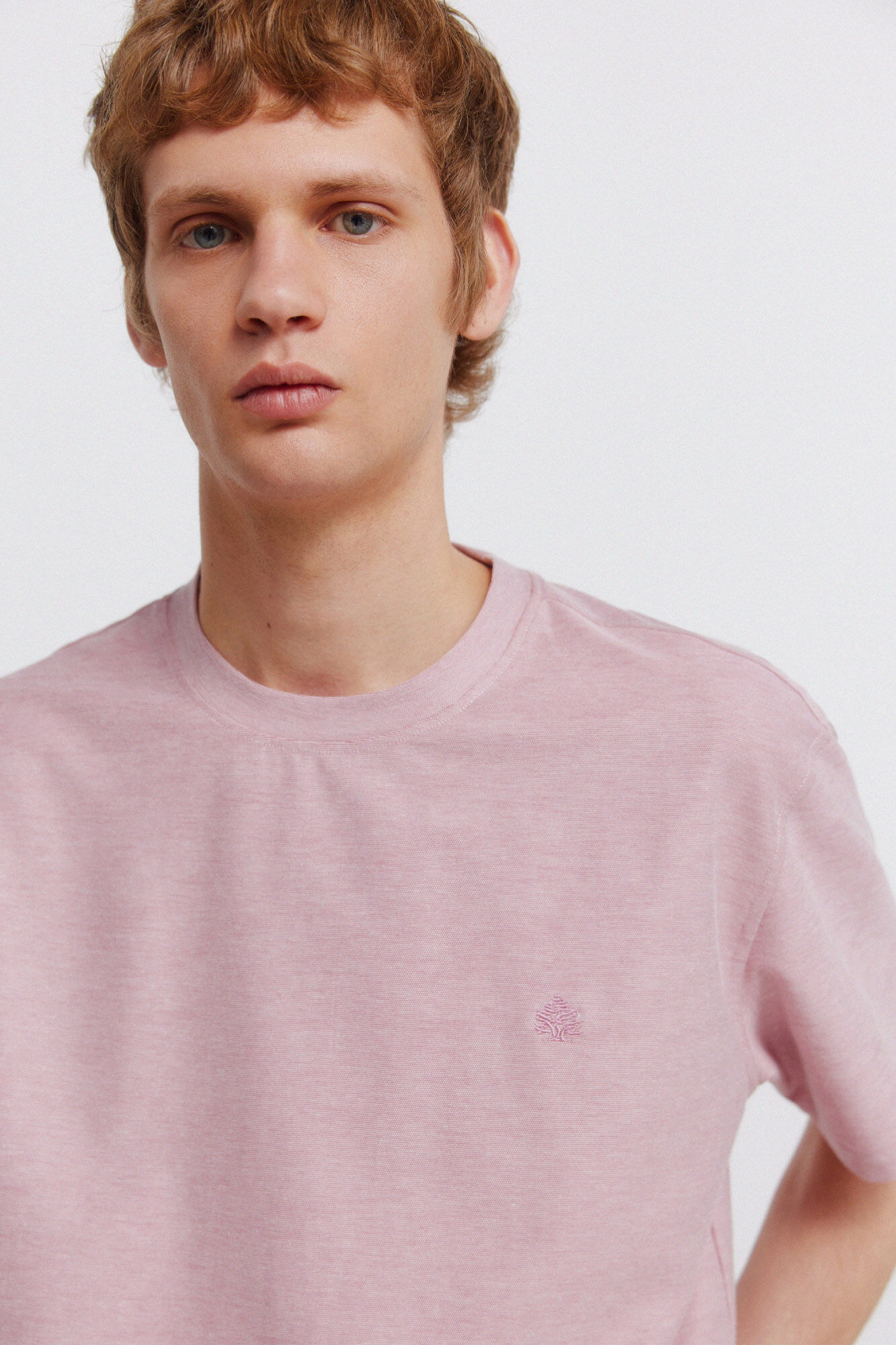 Springfield T-shirt em oxford