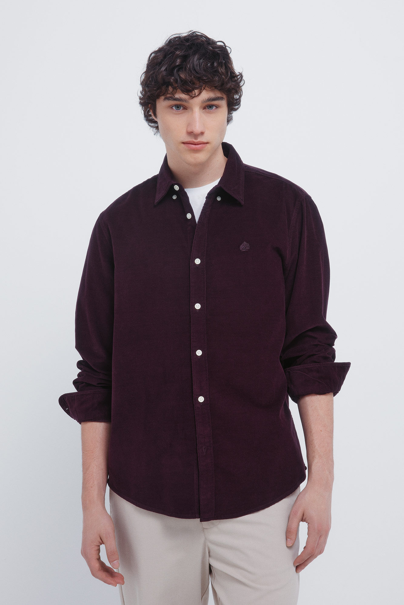 Springfield Camisa micro pana