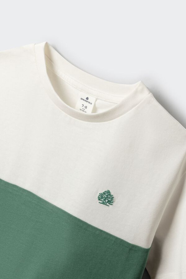 Springfield Kids T-shirt manga curta color block para menino verde