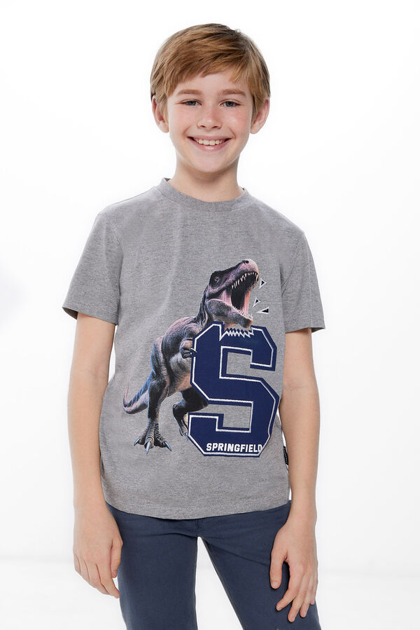 Springfield Camiseta print dinosaurio niño gris medio