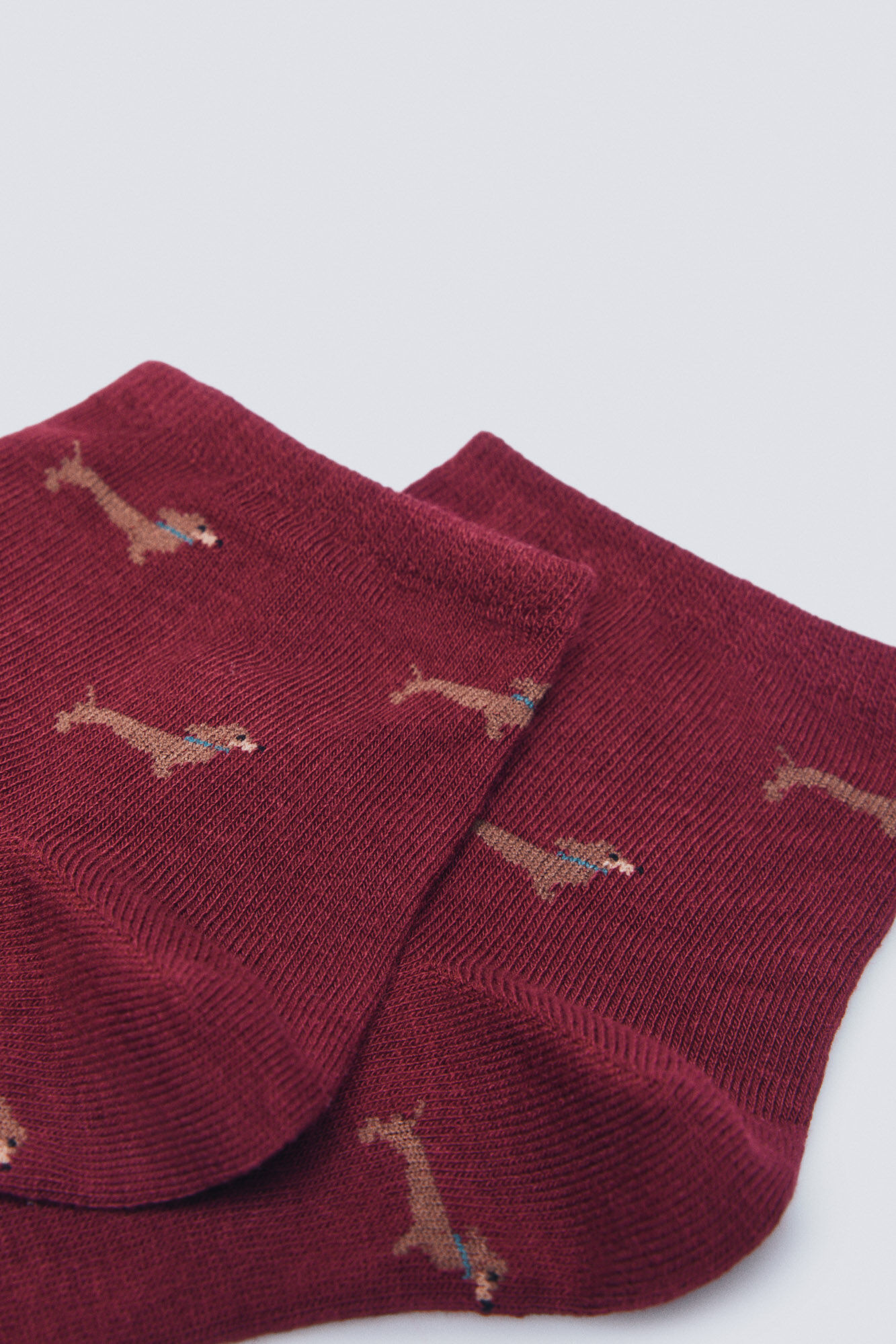 Springfield Calcet&iacute;n corto perros