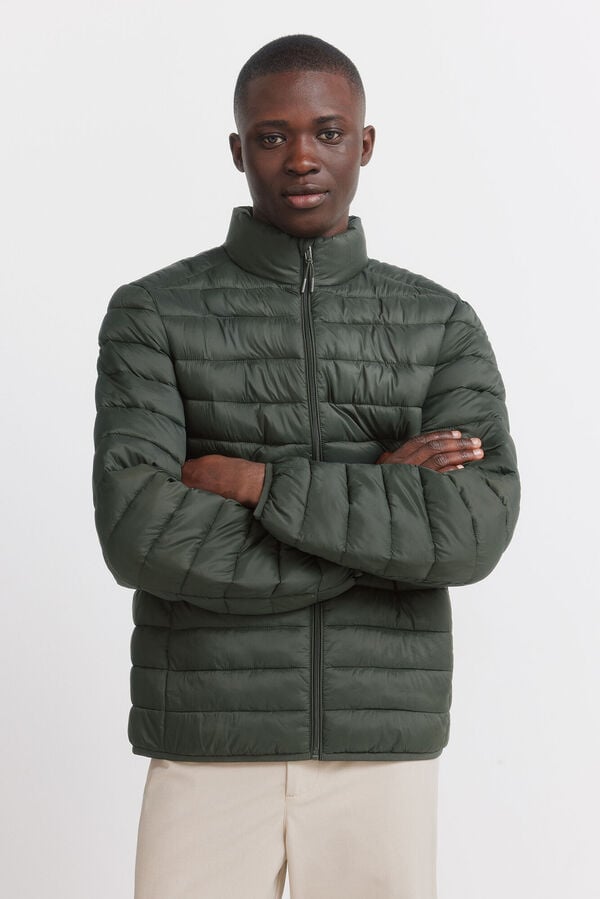 Springfield Casaco acolchoado Caqui escuro