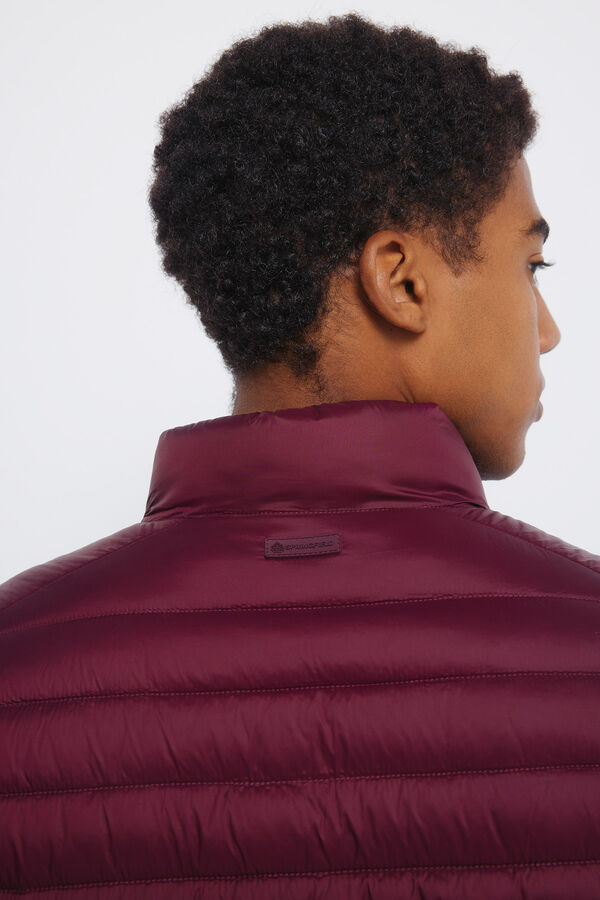 Springfield Casaco acolchoada estampado