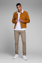 Jack & Jones Calças chinos slim fit bege