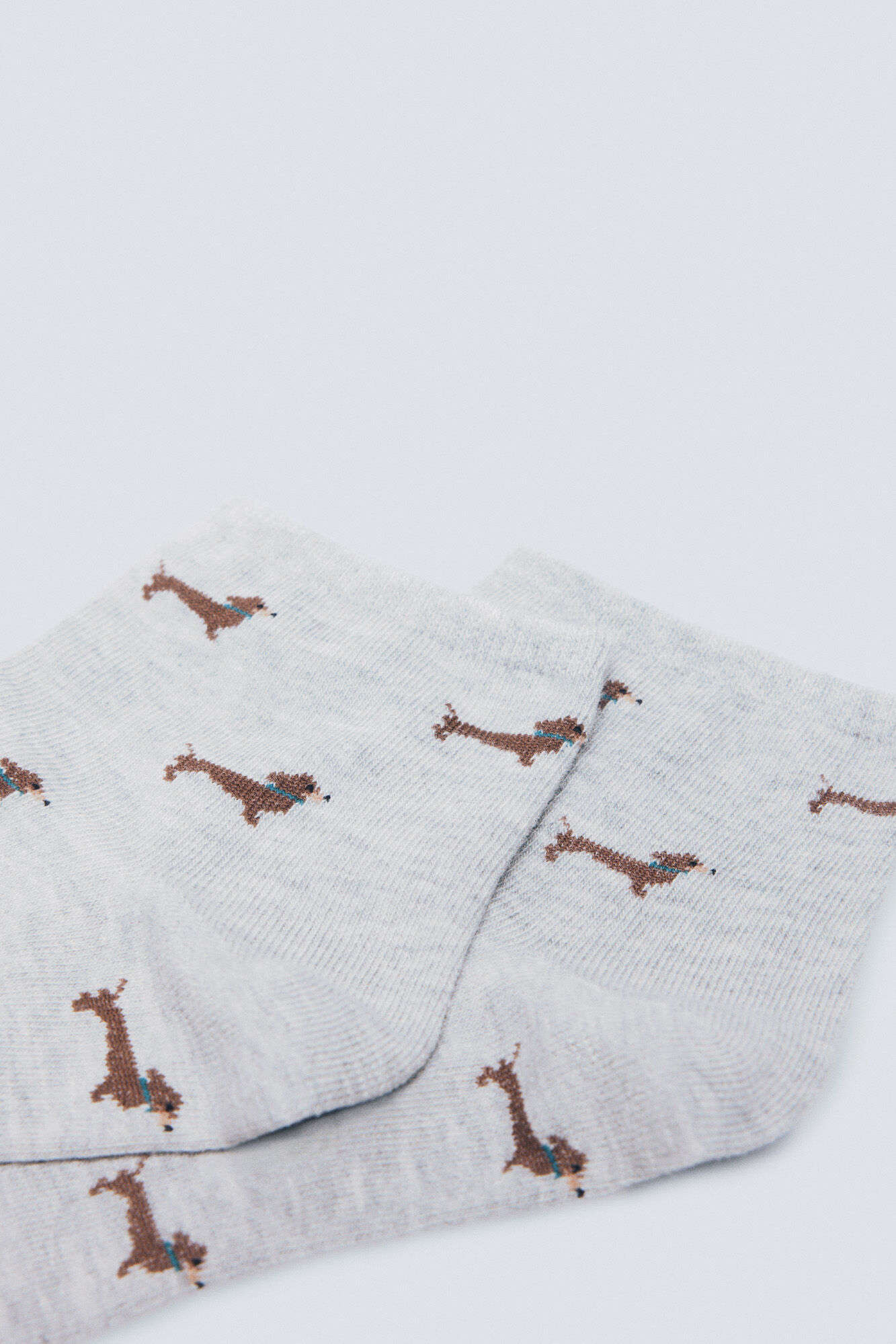 Springfield Calcet&iacute;n corto perros