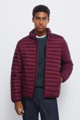 Springfield Casaco acolchoada estampado