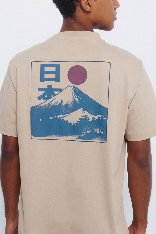 Springfield Mount Fuji T-shirt grey