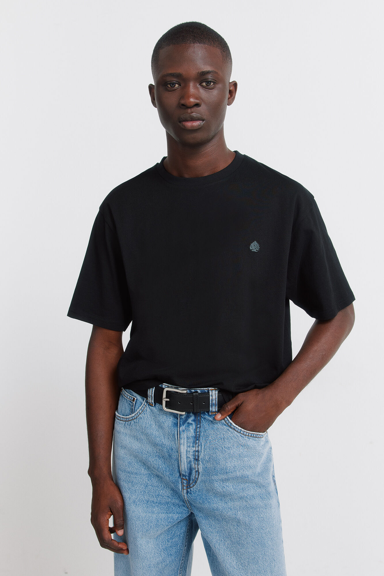 Springfield Springfield logo basic T-shirt