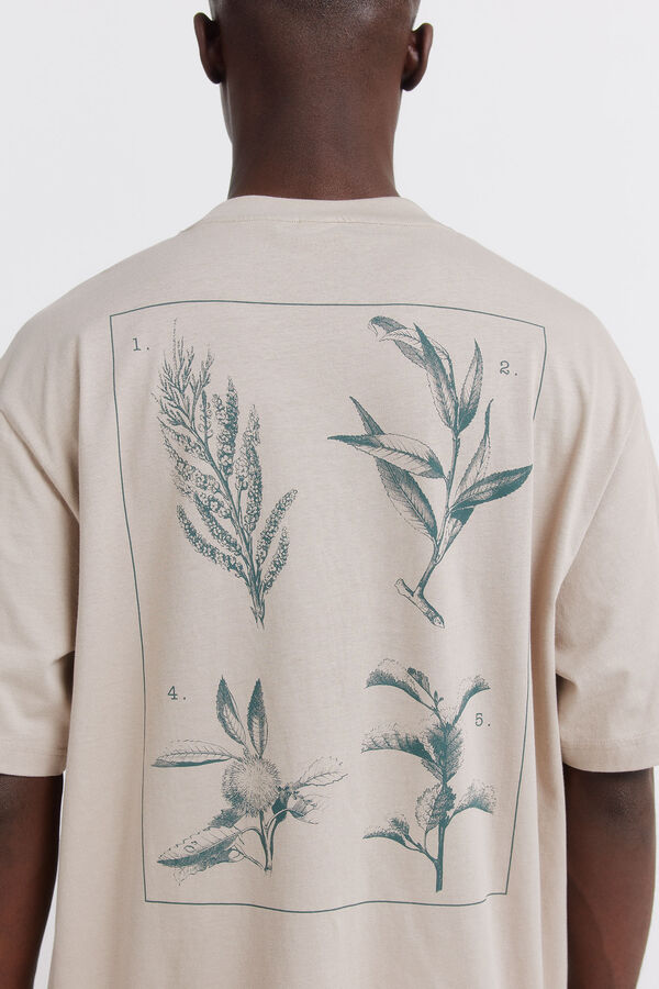 Springfield T-shirt natural cru