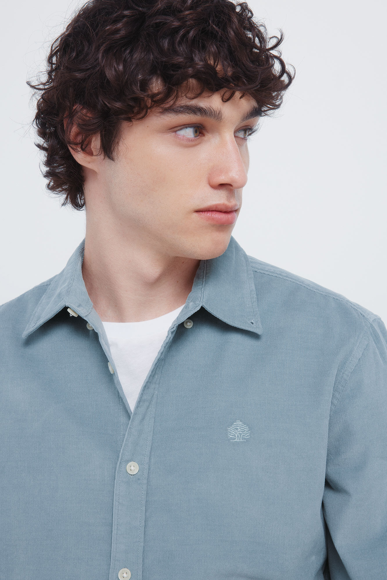 Springfield Camisa micro pana