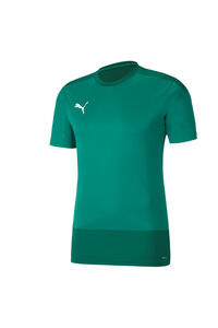 Puma teamGOAL 23 Training Jersey