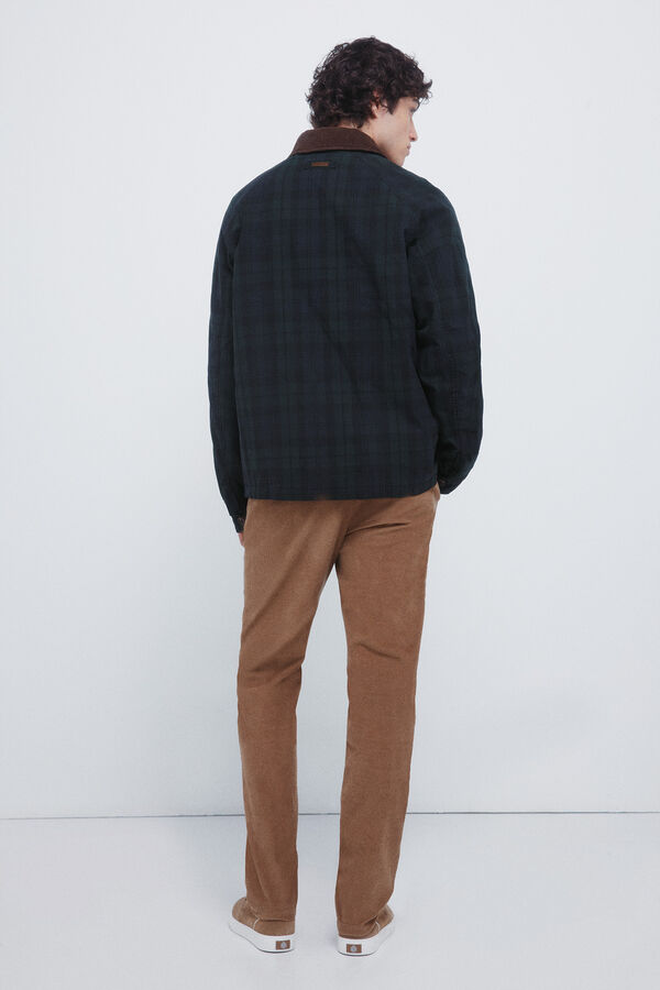 Springfield Calças chino slim fit de veludo cotelê micro castanho