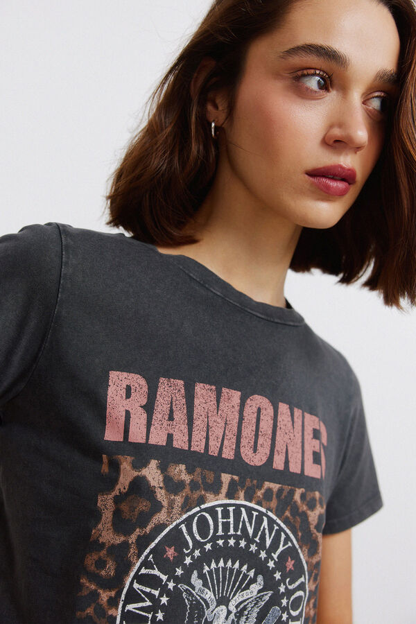 Springfield T-shirt "Ramones" cinzento