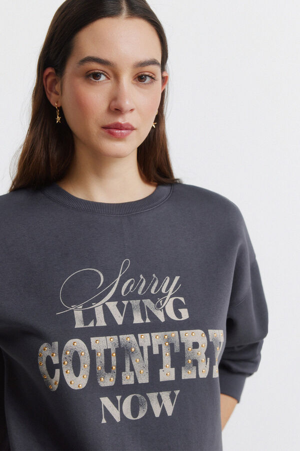 Springfield Sweatshirt "Country" cinzento