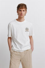 Springfield T-shirt Indiana bege