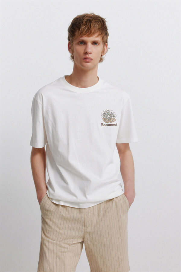 Springfield T-shirt Indiana bege