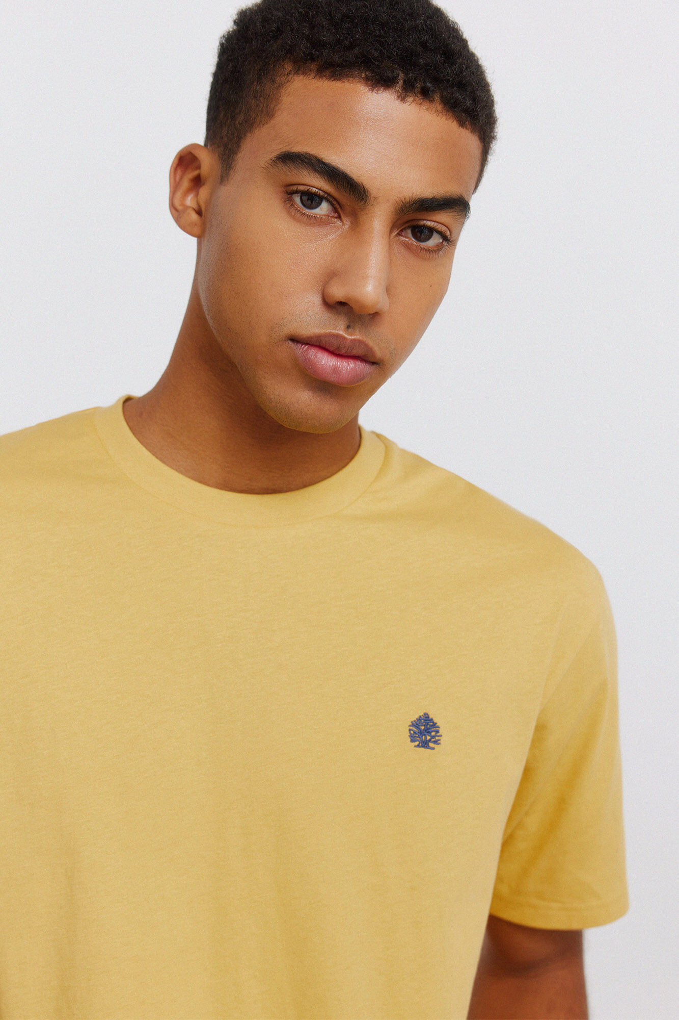 Springfield Springfield logo basic T-shirt