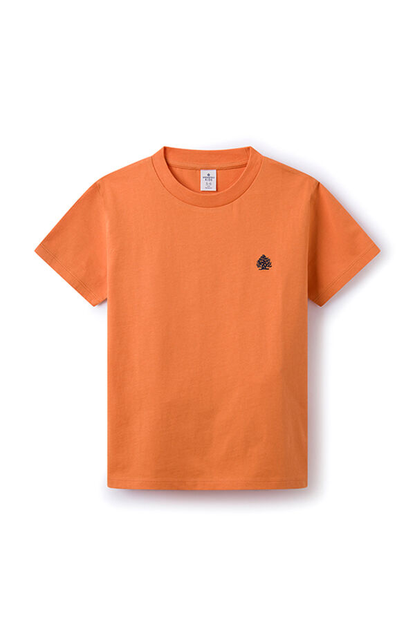 Springfield Camiseta logo Springfield niño naranja