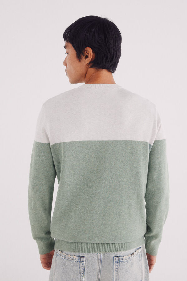 Springfield Jersey básico bloque color verde