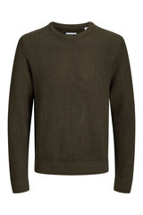 Jack & Jones PLUS Camisola de gola redonda verde