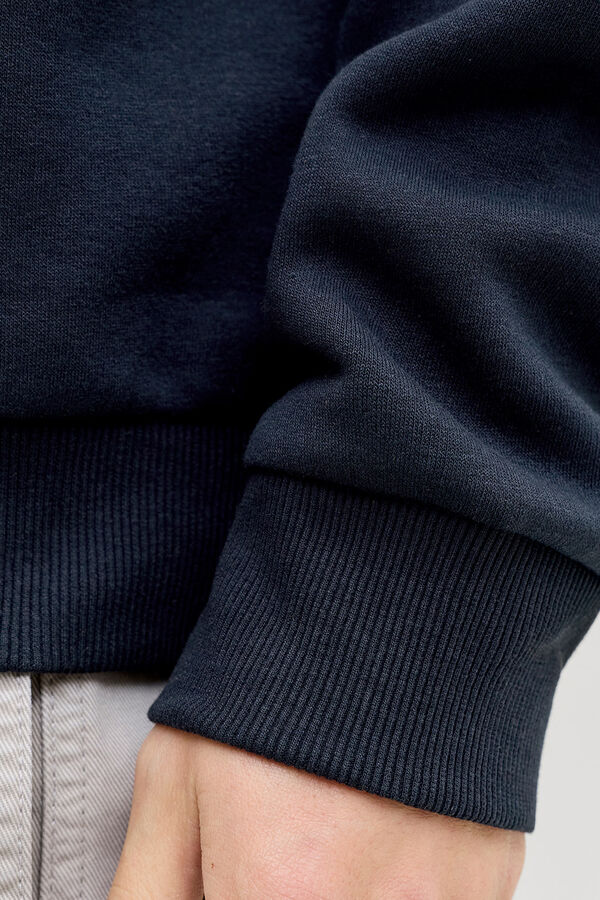 Jack & Jones Round neck fleece sweatshirt"However, the example "pink classic lace push-up bra LOVELY" shows:Color: pinkStyle: classicMaterial: laceStyle: blue