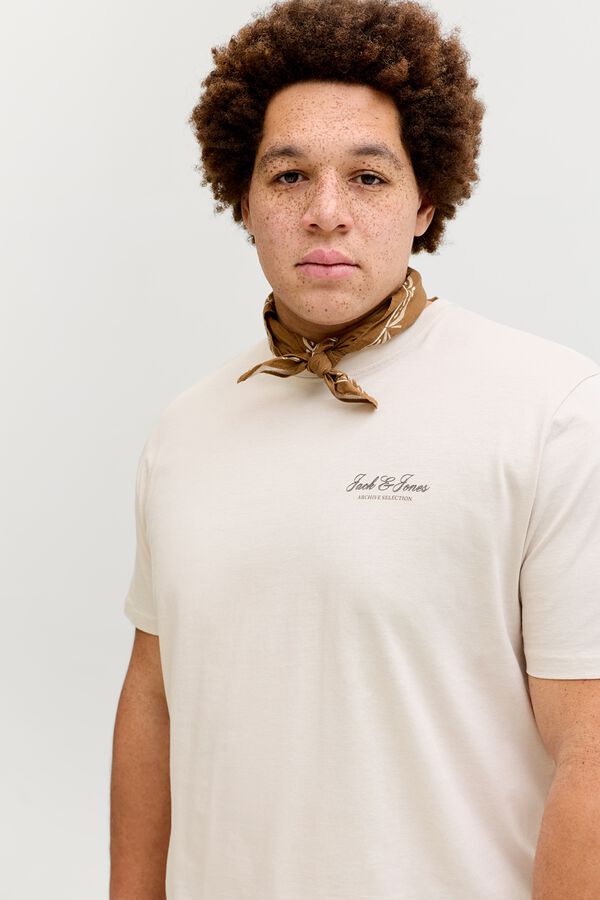 Jack & Jones PLUS T-shirt de manga curta com logo cinzento
