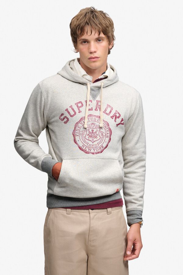 Superdry Sweatshirt com capuz e estampado gr&aacute;fico cinzento