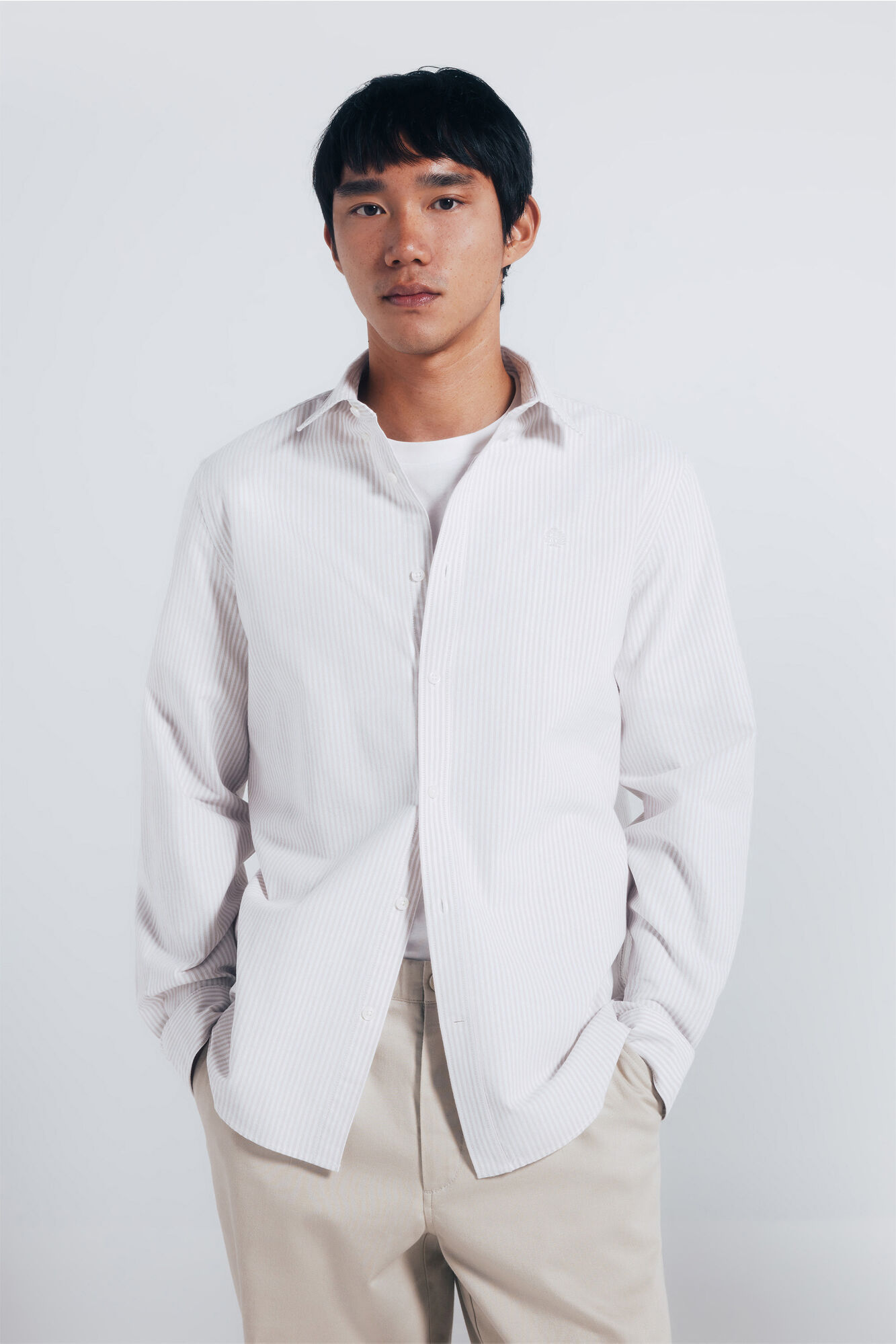 Springfield Camisa oxford rayas