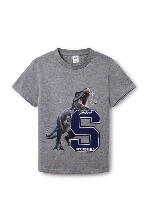 Springfield T-shirt print dinossauro menino cinza