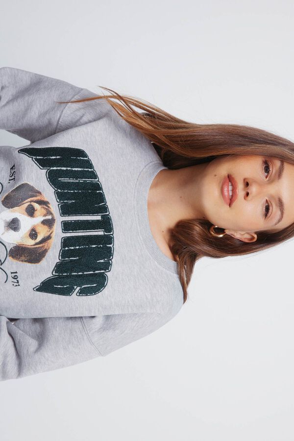 Springfield Sweatshirt "Ca&ccedil;a" cinzento